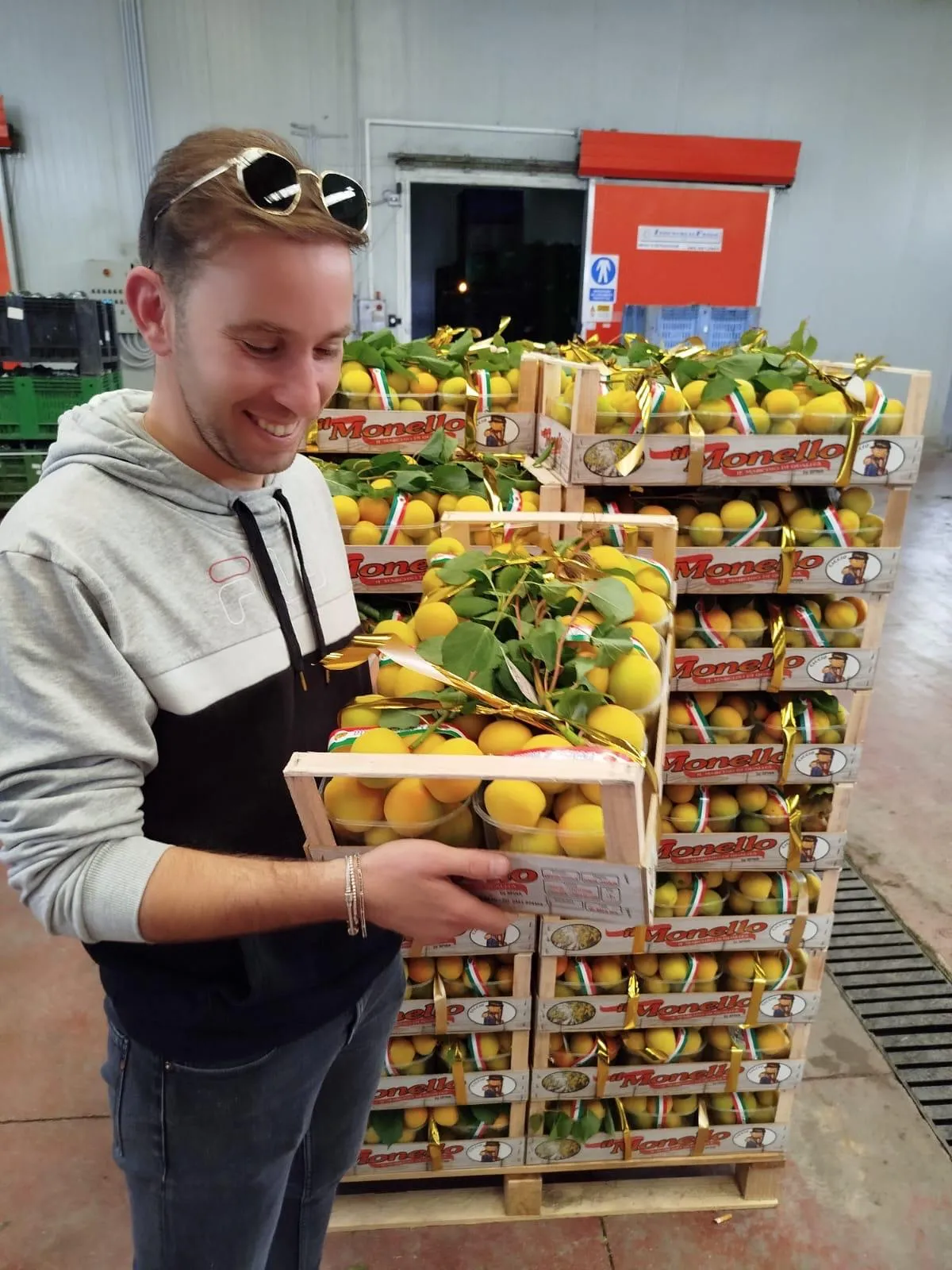 Albicocche mature e succose