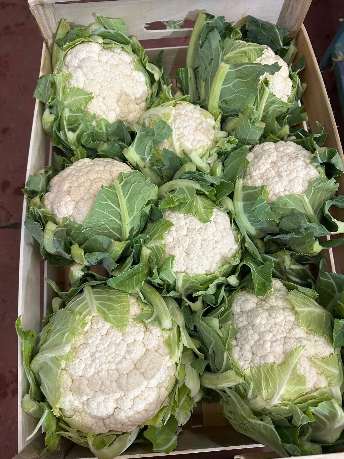 Broccoli e cavolfiori freschi Spina Group